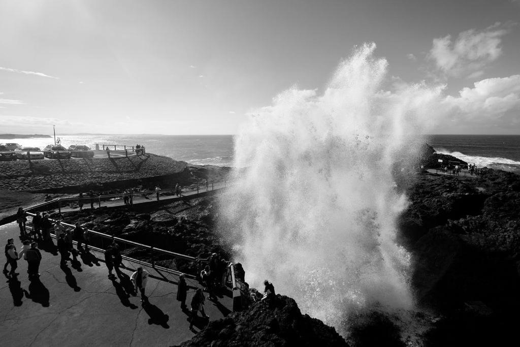 Kiama Shores Extérieur photo